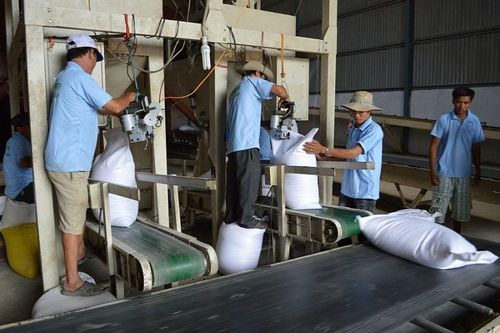 Sớm hoàn thiện hành lang pháp lý kinh doanh xuất khẩu gạo