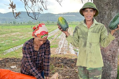Hơn 2 tháng trồng dưa hấu, một xã ở Nghệ An thu trên 40 tỷ đồng