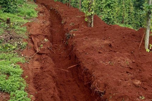Không còn diễn biến xấu ở 3 điểm nứt đất, sạt lở lớn nhất Đắk Nông