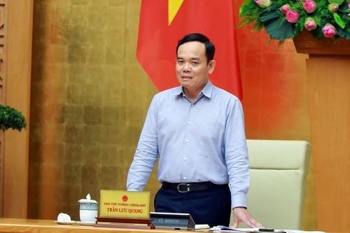Thành lập Tổ công tác thực hiện Nghị quyết số 101/2023/QH15 về rà soát hệ thống văn bản quy phạm pháp luật