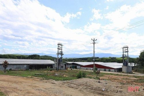 Ngành chuyên môn khuyến cáo gì sau 2 'tai nạn' tại các trang trại nuôi gà ở Hà Tĩnh?