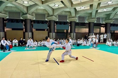 Tưng bừng giải đấu Karate của cộng đồng người Việt tại Nhật Bản