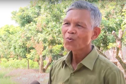 Người cựu chiến binh tâm huyết bảo tồn giống nhãn quý