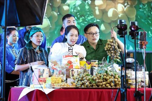 Nâng cao kỹ năng kinh doanh trên nền tảng số cho thanh niên miền núi