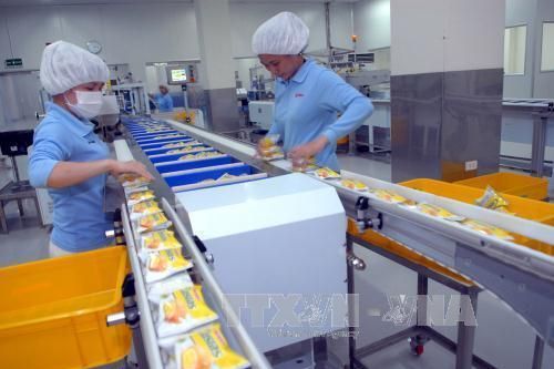 Orion tiếp tục lập kỷ lục doanh thu tại Việt Nam