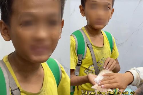 Rơi nước mắt hai cậu bé 'phun lửa' mặt lấm lem cưu mang chú mèo bị bỏ rơi