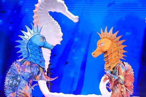 Cặp đôi Cá Ngựa 'chúng mình có nhau' bị chê vì hát thiếu hòa hợp