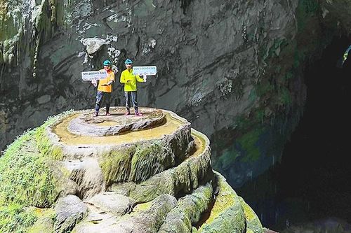 Khám phá bí ẩn dưới những cánh rừng