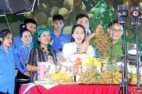 Tập huấn kỹ năng kinh doanh trên nền tảng số cho thanh niên nông thôn