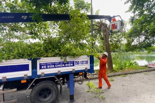 Bản tin Kinh tế ngày 12/8
