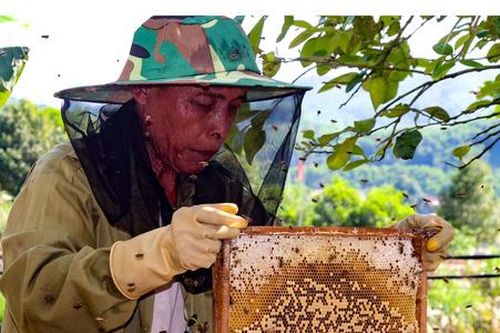 Trái ngọt giảm nghèo ở một huyện 'vùng trũng'
