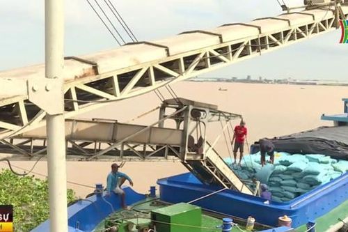 Xuất khẩu tối đa 8 triệu tấn gạo