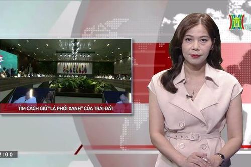 Tìm cách giữ 'lá phổi xanh' của Trái đất| Nhìn ra Thế giới|12/8/2023