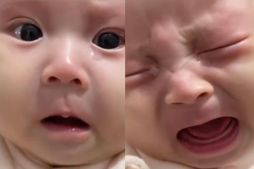 Bé tẹo thế này đã có tố chất làm diễn viên