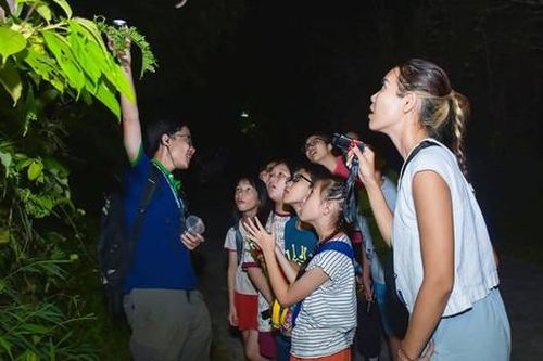 Đổi mới hoạt động trải nghiệm cho trẻ:Điểm sáng của chương trình giáo dục phổ thông mới