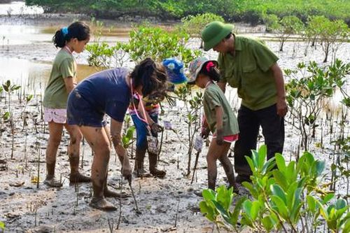 Đổi mới hoạt động trải nghiệm cho trẻ: Tạo ra một thế hệ yêu thiên nhiên