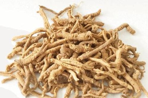 4 món ăn bài thuốc dưỡng não từ viễn chí