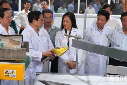 Thủ tướng Phạm Minh Chính thăm, làm việc với doanh nghiệp, hợp tác xã tại huyện Tháp Mười