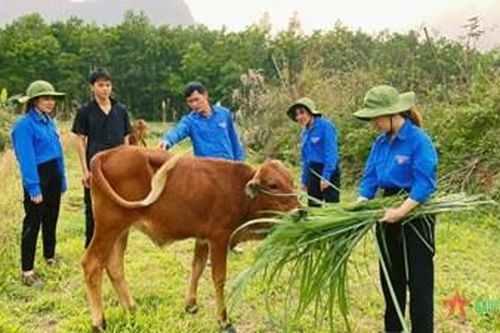 'Trái ngọt' vùng biên cương