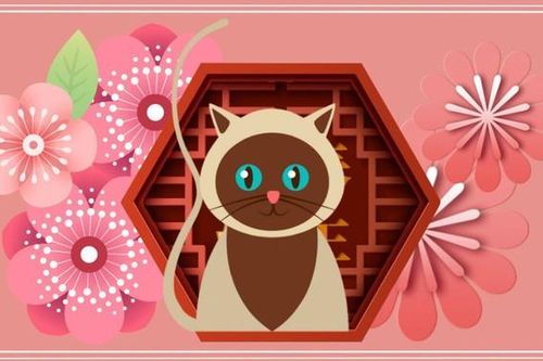 Tháng 7 cô hồn: Tuổi nào đại phát, tuổi nào nghèo rớt mùng tơi?