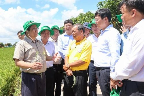 Thủ tướng Phạm Minh Chính: Phải tiếp tục đổi mới tư duy về sản xuất nông nghiệp