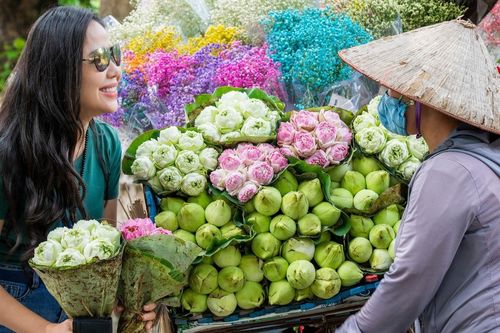 Những chiếc xe chở mùa sen Hà Nội len khắp phố phường, níu chân du khách