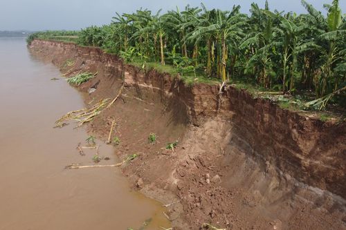 Bờ sông Thao bị sạt lở nghiêm trọng, đe dọa hơn 1.000 hộ dân ở Phú Thọ