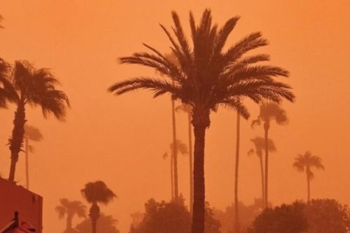 Hình ảnh bão cát 'nhuộm đỏ' bầu trời thành phố Morocco