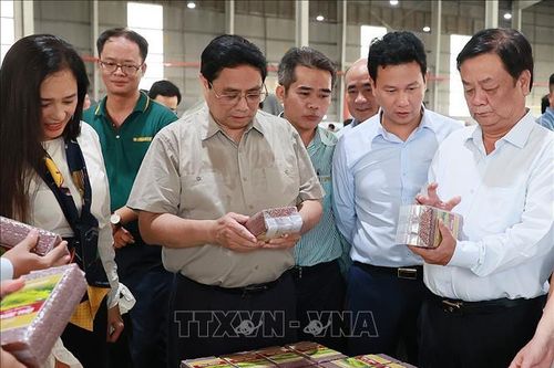 Thủ tướng thăm mô hình nông nghiệp công nghệ cao tại Đồng Tháp