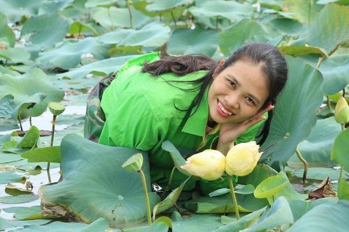 Cận cảnh cặp sen Tịnh đế Bỉ Ngạn Vàng hiếm có ở xứ Nghệ