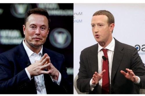 Elon Musk tuyên bố đạt thỏa thuận với Mark Zuckerberg về trận tỉ thí sẽ diễn ra ở Italy