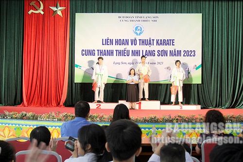 41 võ sinh tham gia Liên hoan võ thuật Karatedo