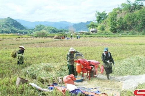 Tập trung phát triển kinh tế các xã vùng lòng hồ thủy điện