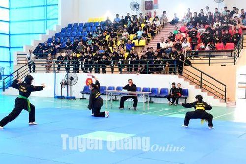 Liên hoan võ thuật cổ truyền thanh thiếu nhi 2023