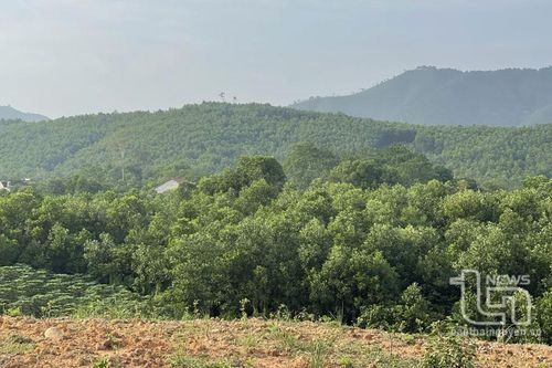 Phê duyệt Kế hoạch đấu giá quyền khai thác 22 mỏ đất