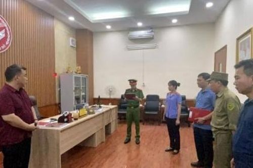 Bắt Giám đốc Trung tâm Văn hóa - Điện ảnh tỉnh Hòa Bình vì mua khống hóa đơn