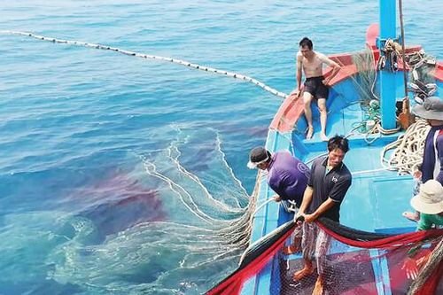 Bản tin kinh tế môi trường ngày 13/8: Gỡ 'thẻ vàng' của EC với thủy sản Việt Nam như thế nào?