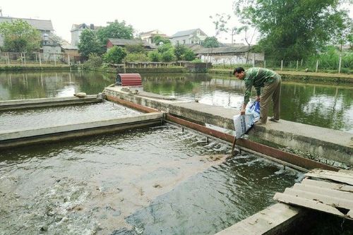 Củng cố, kiện toàn hệ thống khuyến nông
