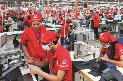 Kết nối doanh nghiệp Việt với nhà mua hàng quốc tế