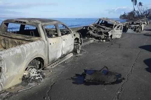 Hệ thống cảnh báo thảm họa ở Maui không hoạt động, 80 người chết oan?