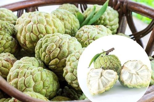 Một số điều cần lưu ý khi ăn quả na