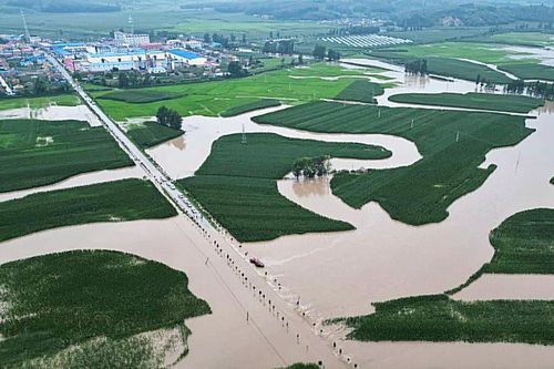 Mưa lũ tác động tới sản xuất nông nghiệp của Trung Quốc: Đất nước tỷ dân bảo vệ 'kho' lương thực