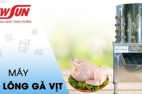 Mua máy vặt lông gà vịt ở đâu giá rẻ, uy tín, chất lượng?