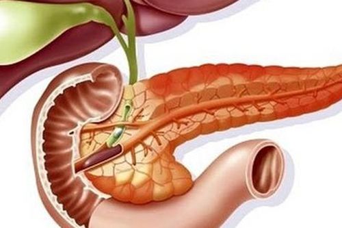 Bệnh sán lá gan lớn: Nguyên nhân, triệu chứng và chẩn đoán