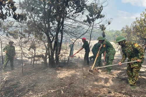 Thừa Thiên Huế: Huy động lực lượng dập tắt vụ cháy rừng phòng hộ ven biển