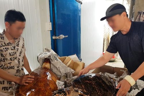 Nâng cao hiệu quả xử lý thông tin vụ việc về động vật hoang dã