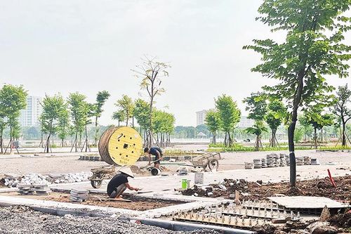 Mở rộng những không gian xanh