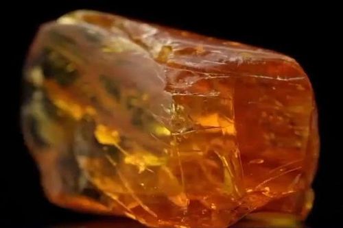 Đào giếng đụng trúng 'kho báu' khủng, cả nhà đổi đời sau một đêm