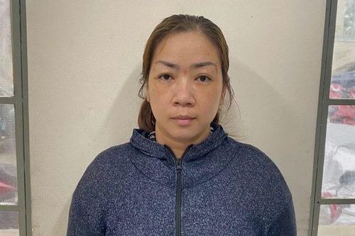 Triệt phá đường dây buôn bán trẻ sơ sinh