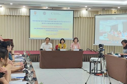 Hoàn thiện pháp luật về bảo vệ trẻ em trên môi trường mạng